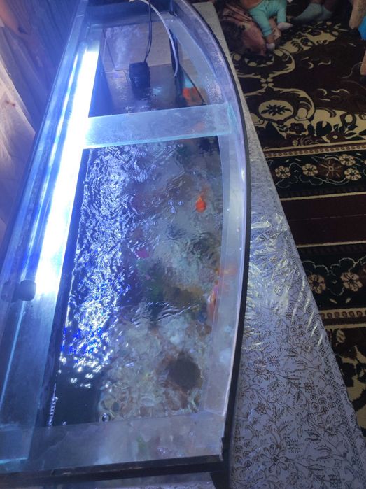 Akvarium balqlari bilan birga sotiladi