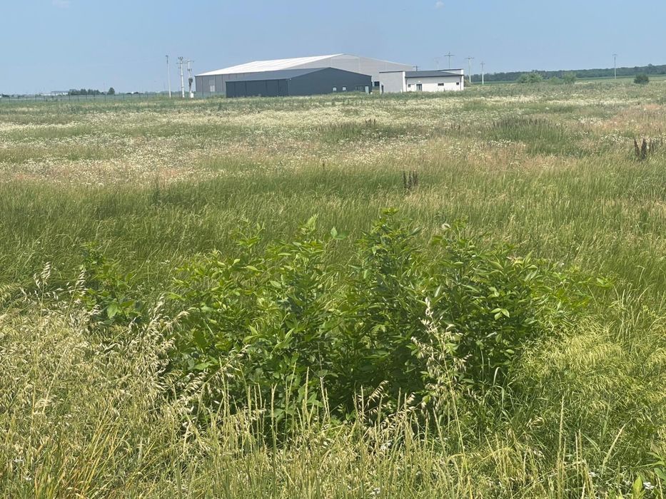 Vand teren intravilan