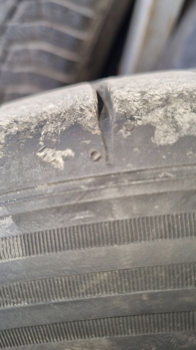 Джанин + Гуми р19!