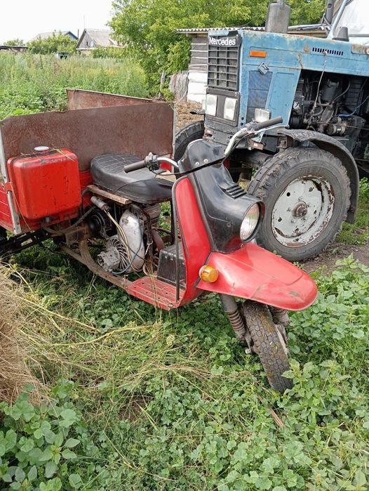 Продам муровей .