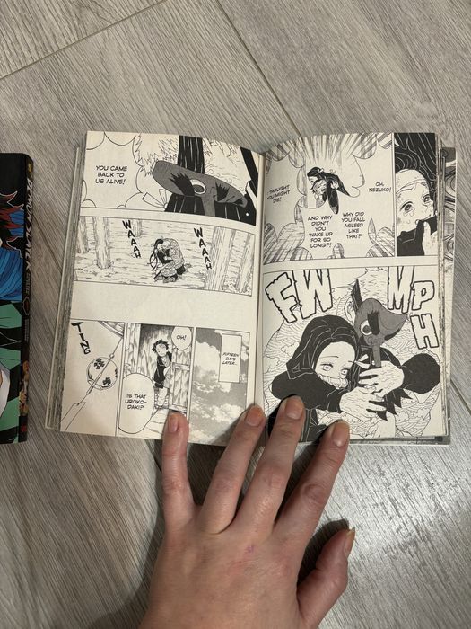 Demon Slayer manga vol 1 si vol 2