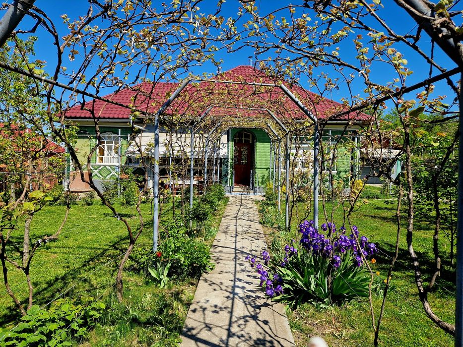 Vand casa locuibila Finteusu Mare 8 ari de teren