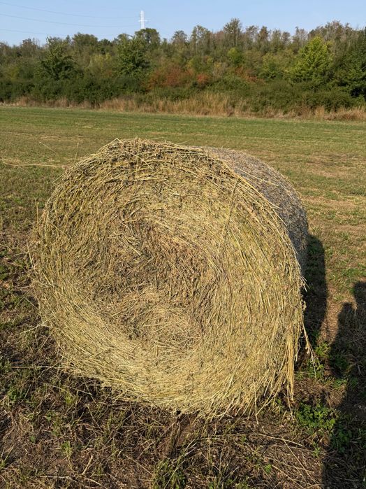 Рулонни бали люцерна