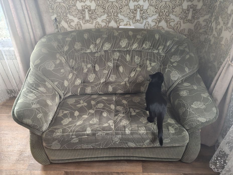 Раскладной двухместный диван