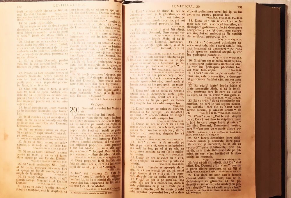 Biblie Veche  - Ediție  1924