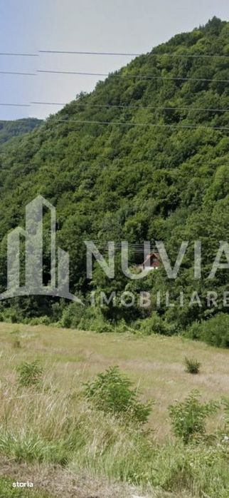 Teren intravilan de vanzare – Capalna, Valea Sebesului
