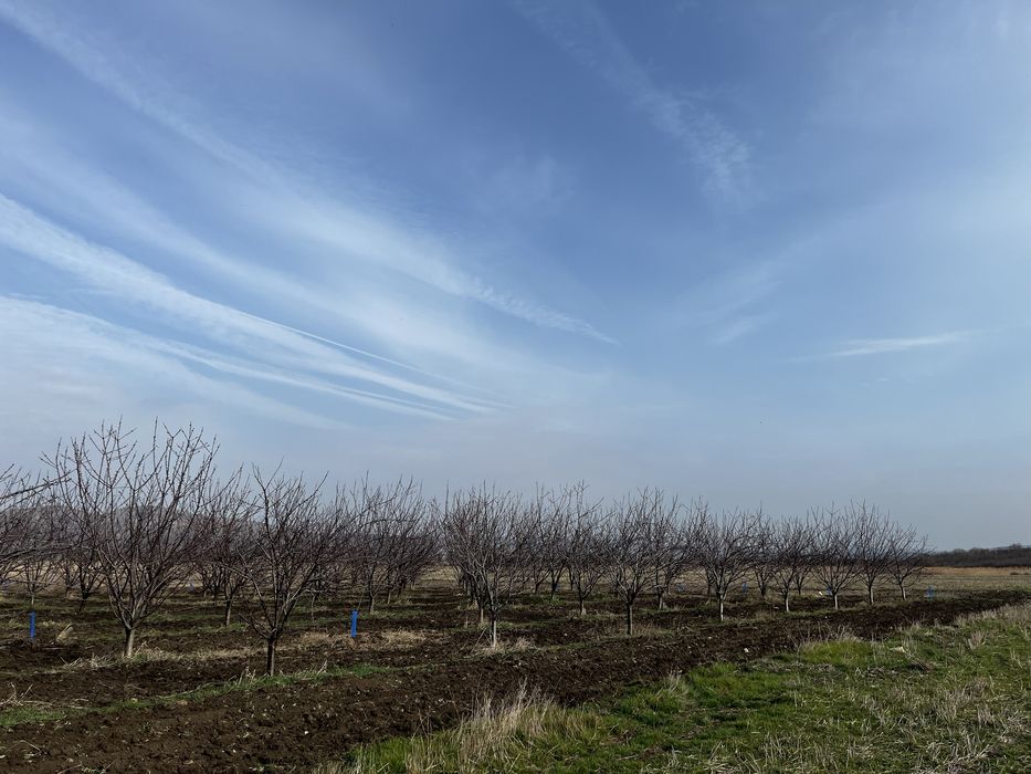 Продава се Земеделски имот в с. Поляново, Област Бургас -  кв.м за 153 €/дка - Снимка #3