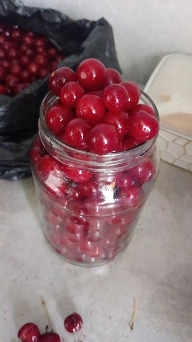 Продам дачную вишню