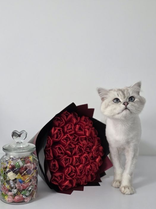 Buchet de lalele