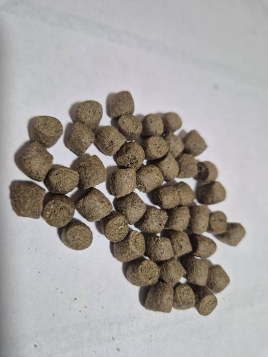 Универсальный корм для рыбы