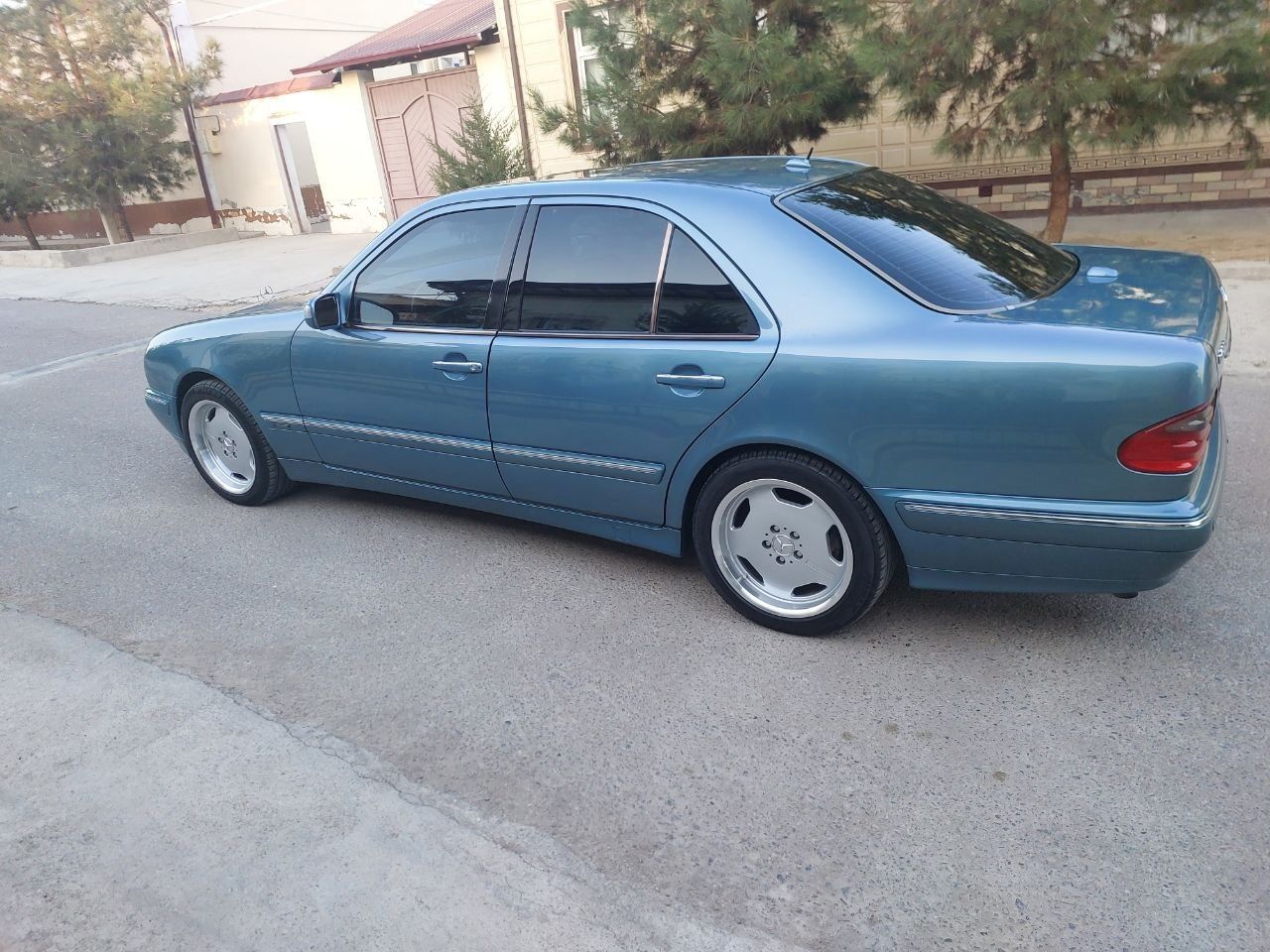 avangard mercedes