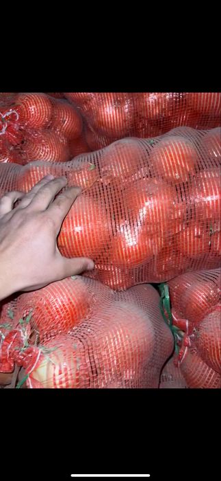 Лук репчатый, отборный в большом обьеме