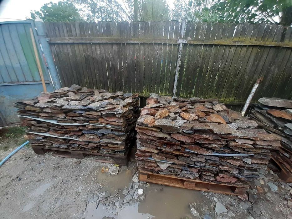 vand pavele si spalieri  sau schimb cu diverse