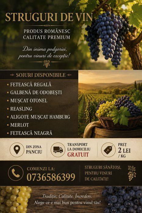 Vand struguri de vin Galati