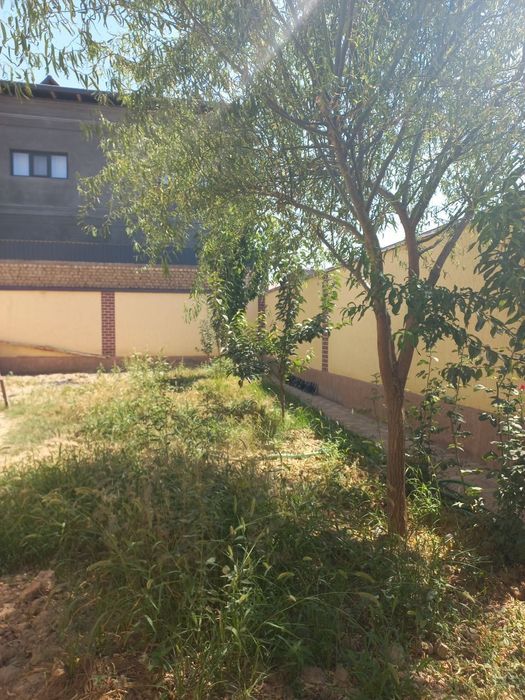 Срочно Кум Арик 3-4-х 3-сот готовый