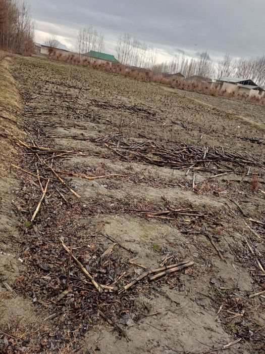 Ер сотилади 12 сотиқ