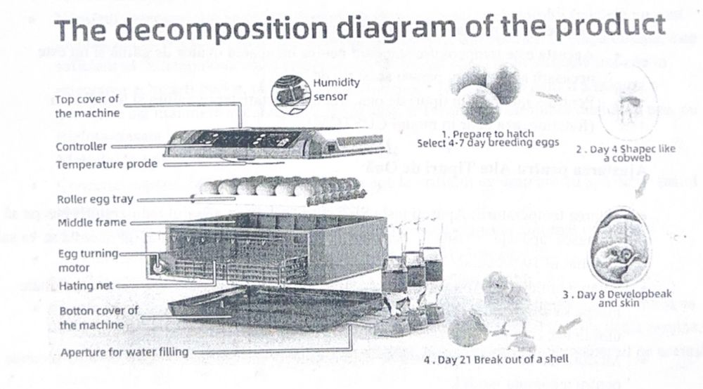 Vand incubator oua automat