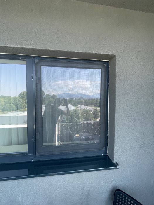 Plase de insecte la super oferte