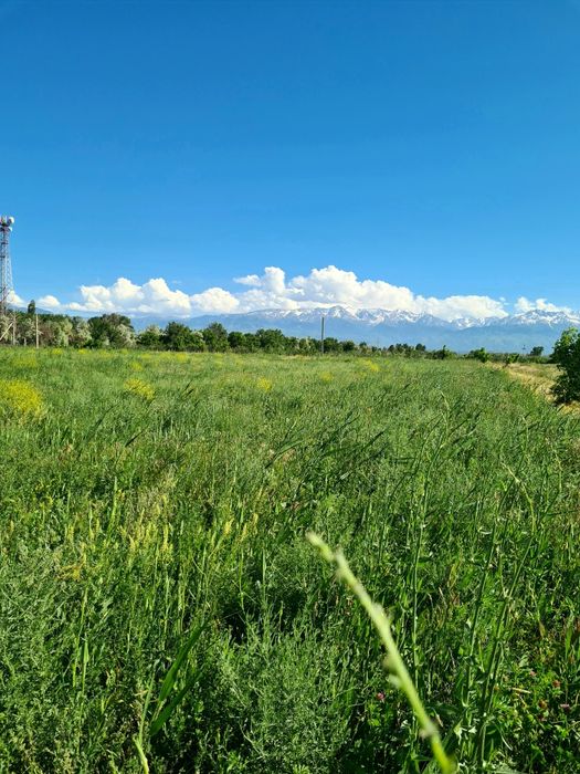 Земля! Продам 6,4 га земли.