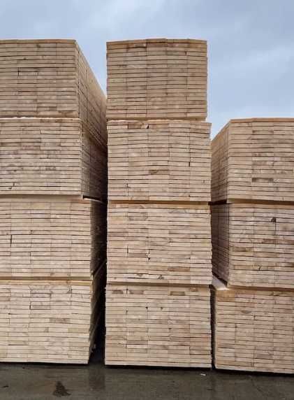 Cherestea Scandura Tivita Uscata Brad Molid