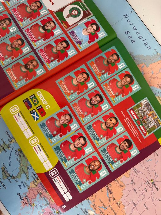 Panini Sticker