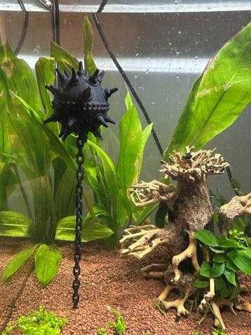 Декор (Декорации) и укрытия для аквариума