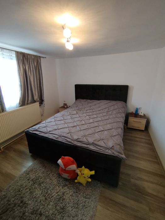 Vând casă cu spațiu comercial