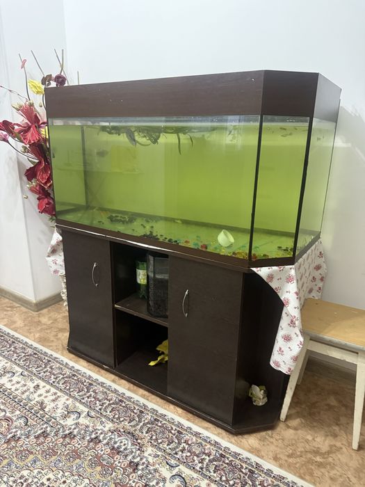 Аквариум 300 литр