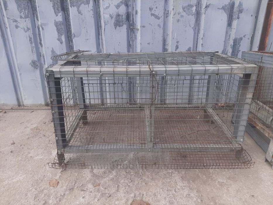 Брудер для цыплят