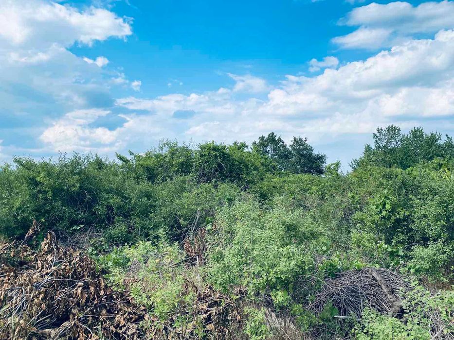 Продава се Земеделски имот в Варна, Възраждане 1 -  кв.м за 30 €/дка - Снимка #5