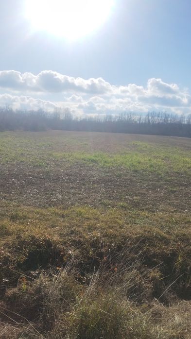 Vind 6700m teren intravilan