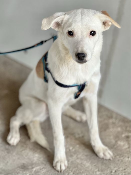 Принцесса Татка ждет своих мам-пап!