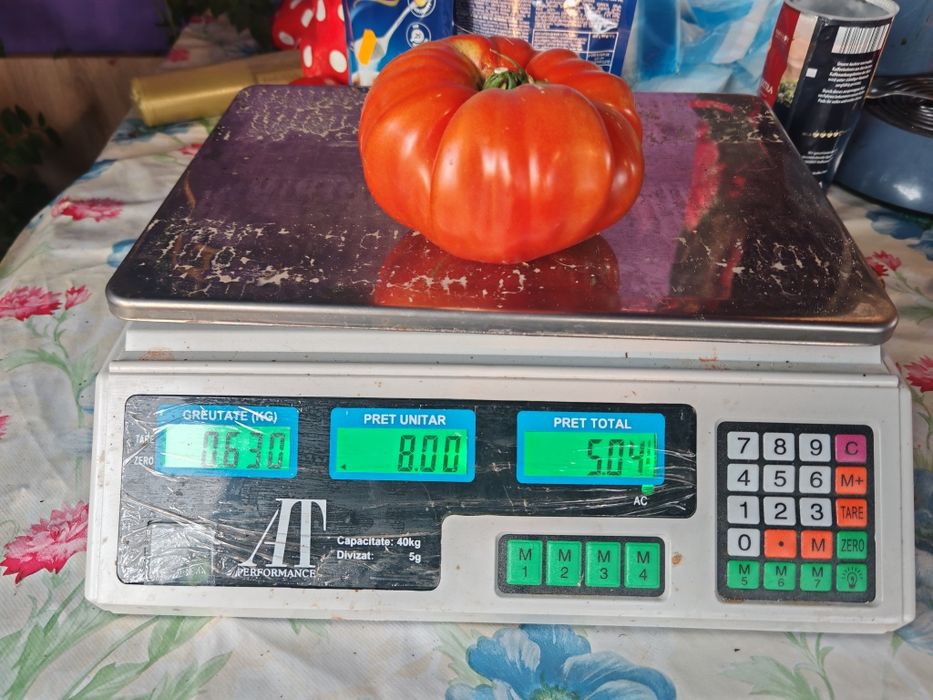 Vând Roșiii Proaspete Culese Din Solar Preț 10 lei KG