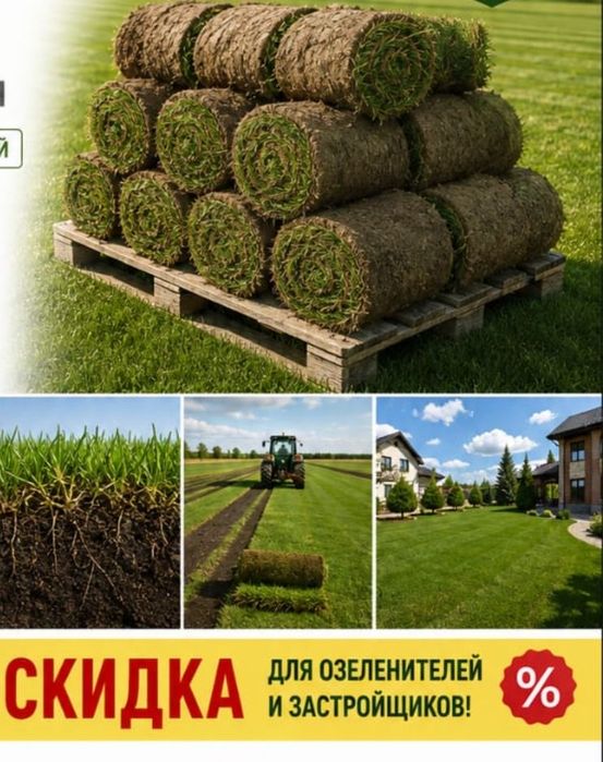 Рулонный газон живой газон продажа