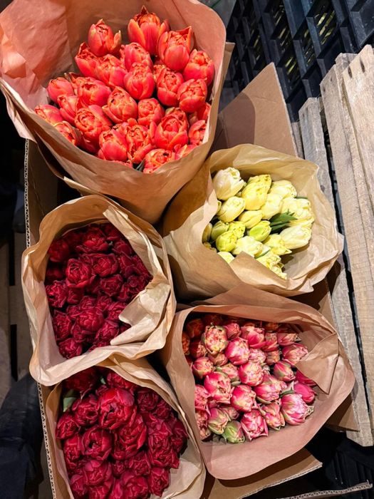 Тюльпаны оптом и в розницу