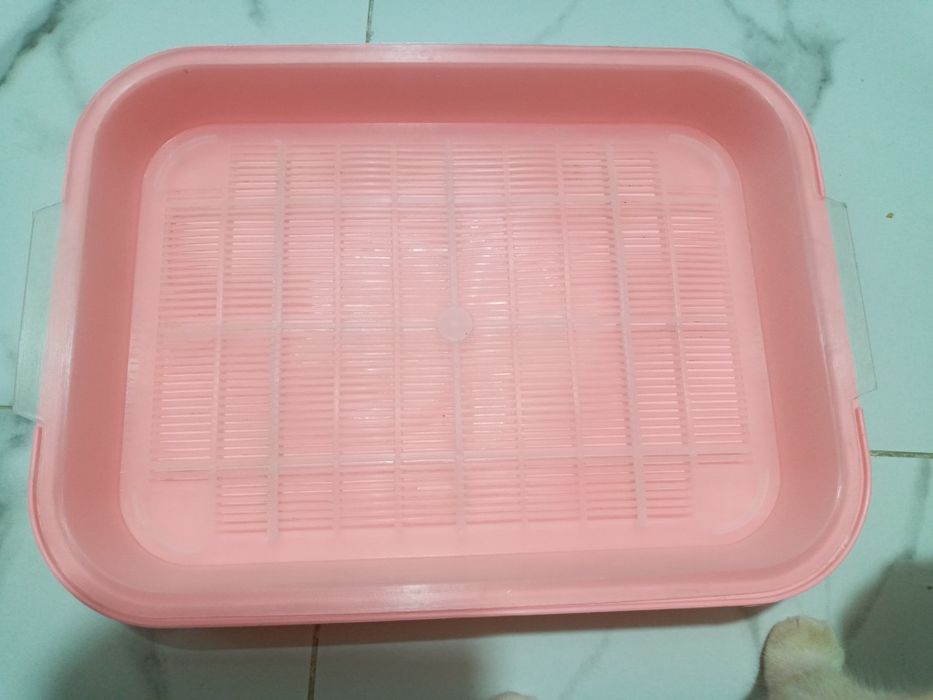 Лоток и наполнитель