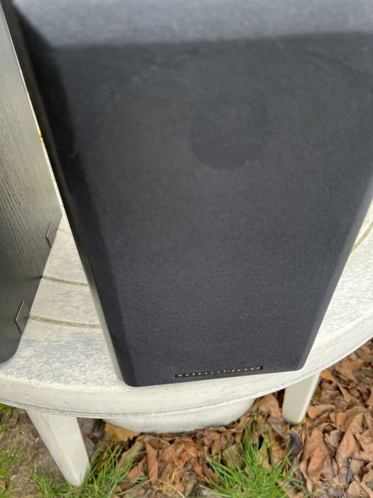 Boxe Mordaunt Short Avant MS902 stare perfecta