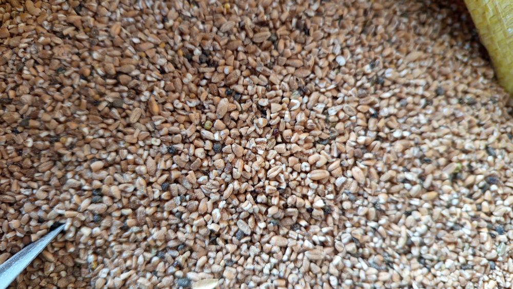 Yem mahsulotlari xamma turidan bor