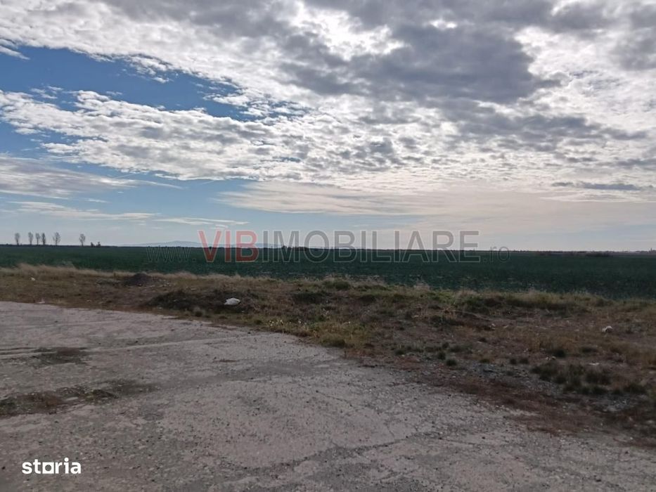 Ferma Agricolă 1.350 HA – Grad de Comasare 96–97%, Județul Arad