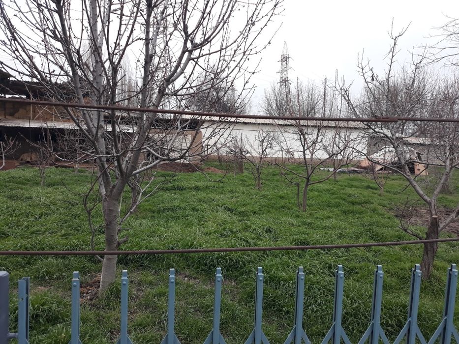 Срочно ховли сотилади 22 ст