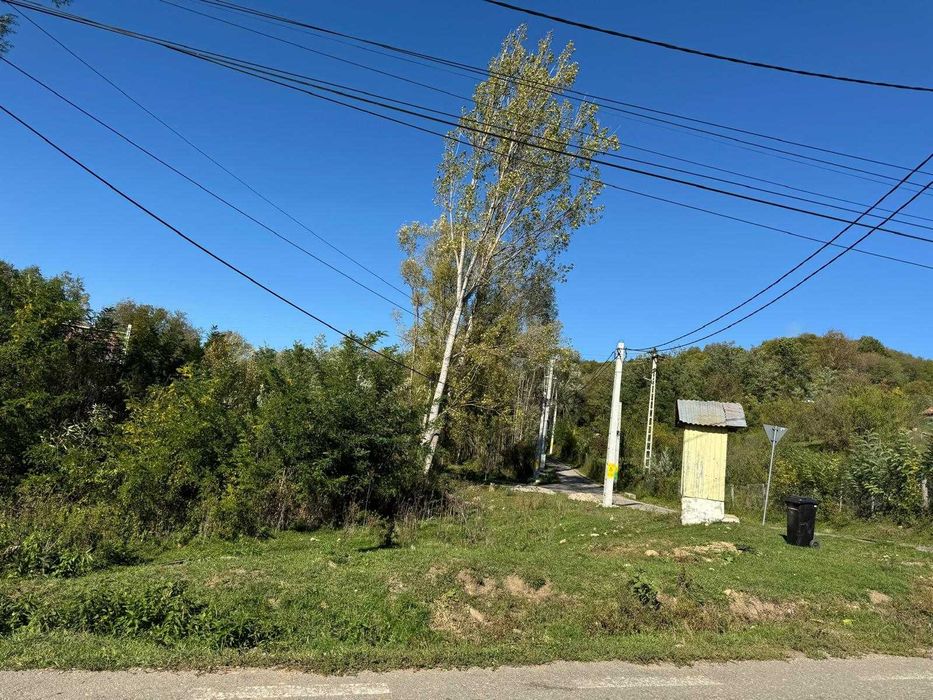 Teren intravilan cadastrat 7007 mp casa sau ferma in Bezdead Dambovita