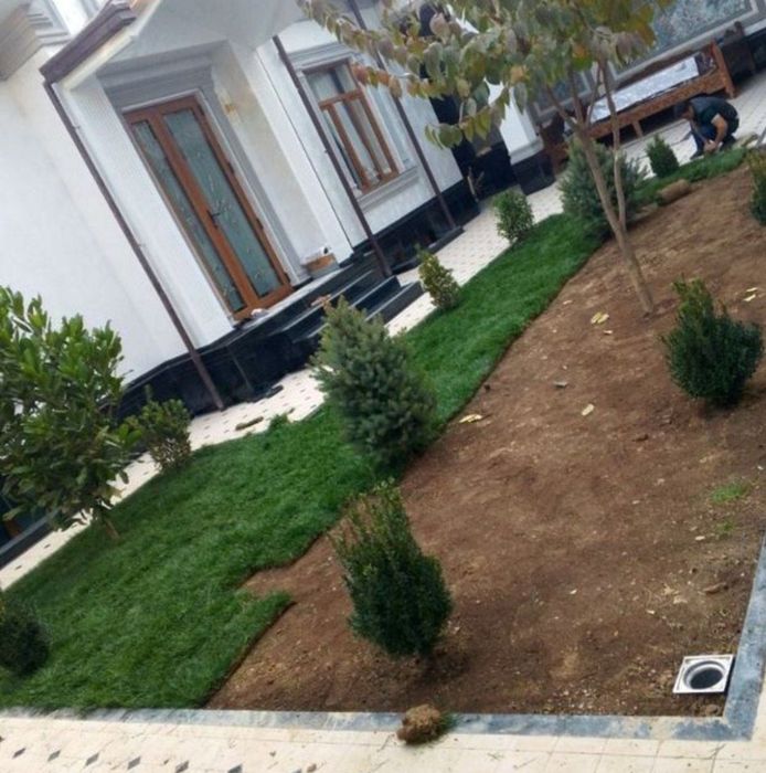 Gazon archa landshaft dizayni