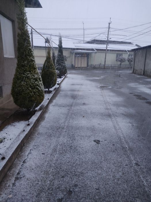 Bogbon agranom xizmati