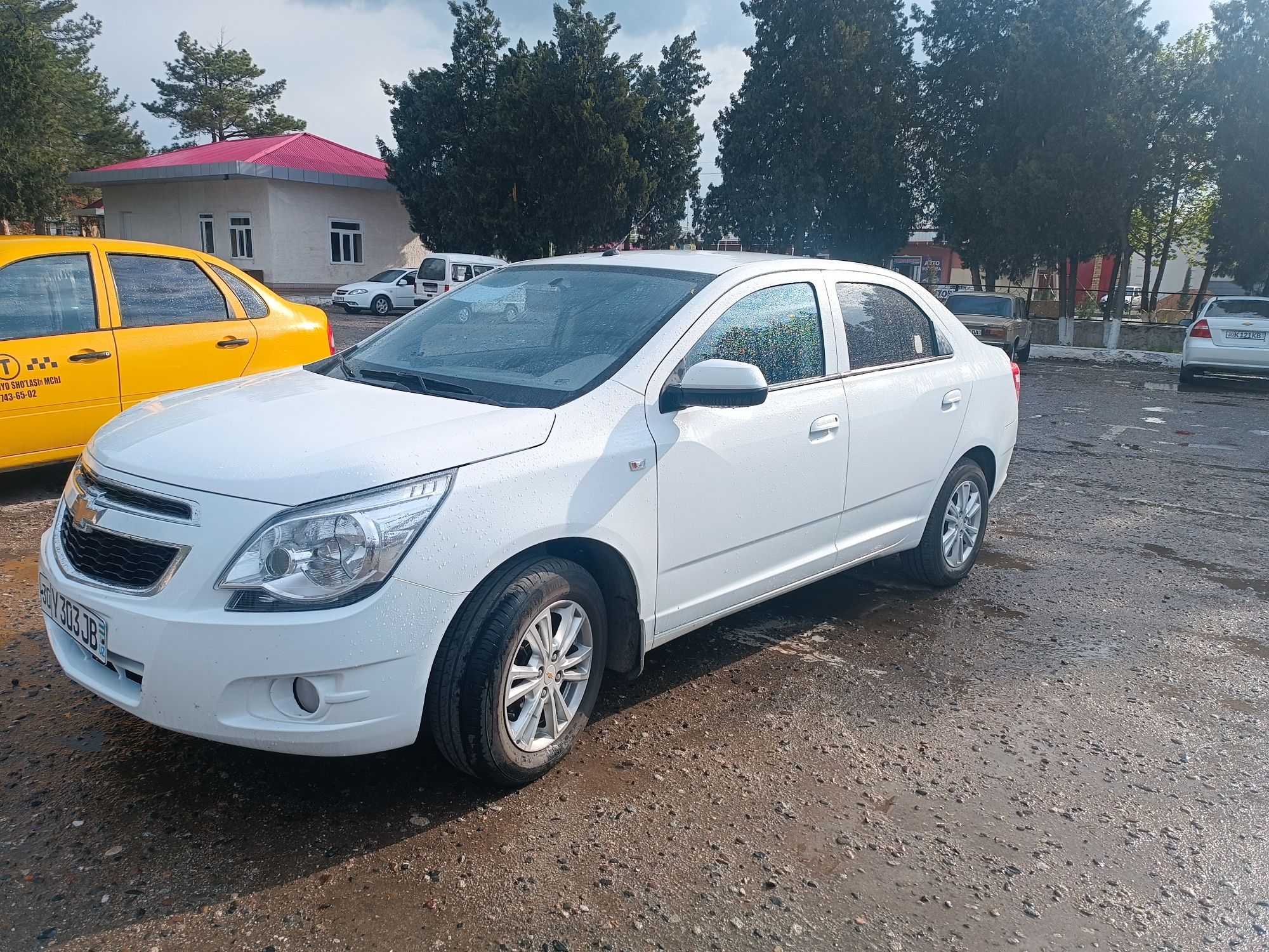 кредит авто - Продажа Chevrolet Cobalt в Самарканд - OLX.uz