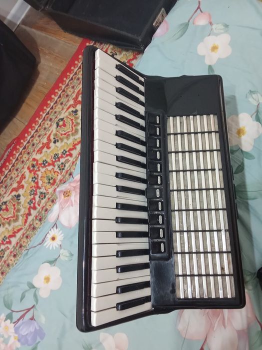Аккордеон 24 клавиш