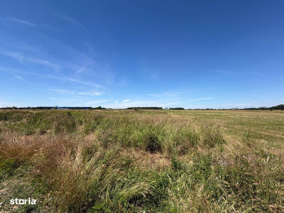 Teren 3550 mp, oportunitate investitie, zona Carcea - aproape de centu