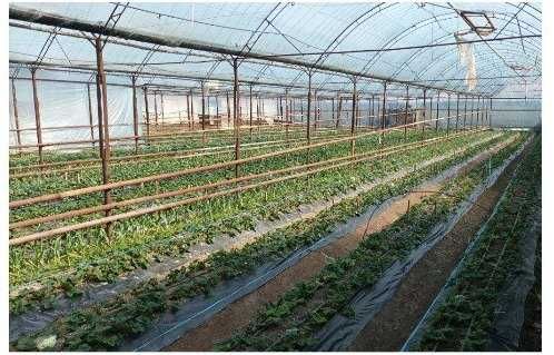 Продаётся  16 сот участок юкори Чирчик