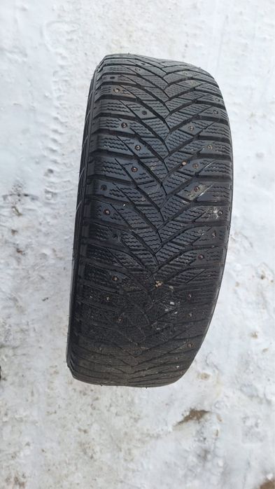 зимные шины шиповынные