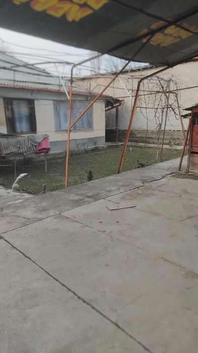 Срочно продаю сурум махалля калини 20 соток или обменяю на участок