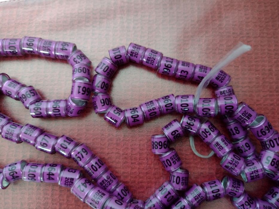 Inele porumbei străine 2025 8mm